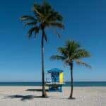 Palm trees on the beach