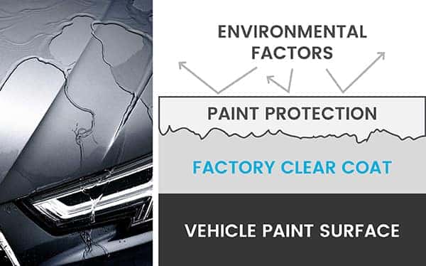 a diagram of a paint protection film on the exterior of a vehicle