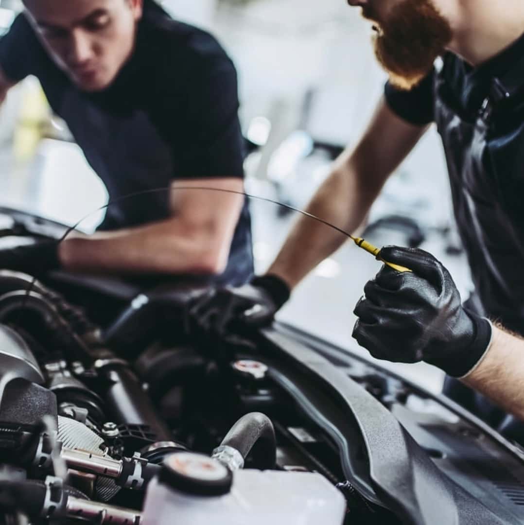 Two Mechanics Checking Oil
