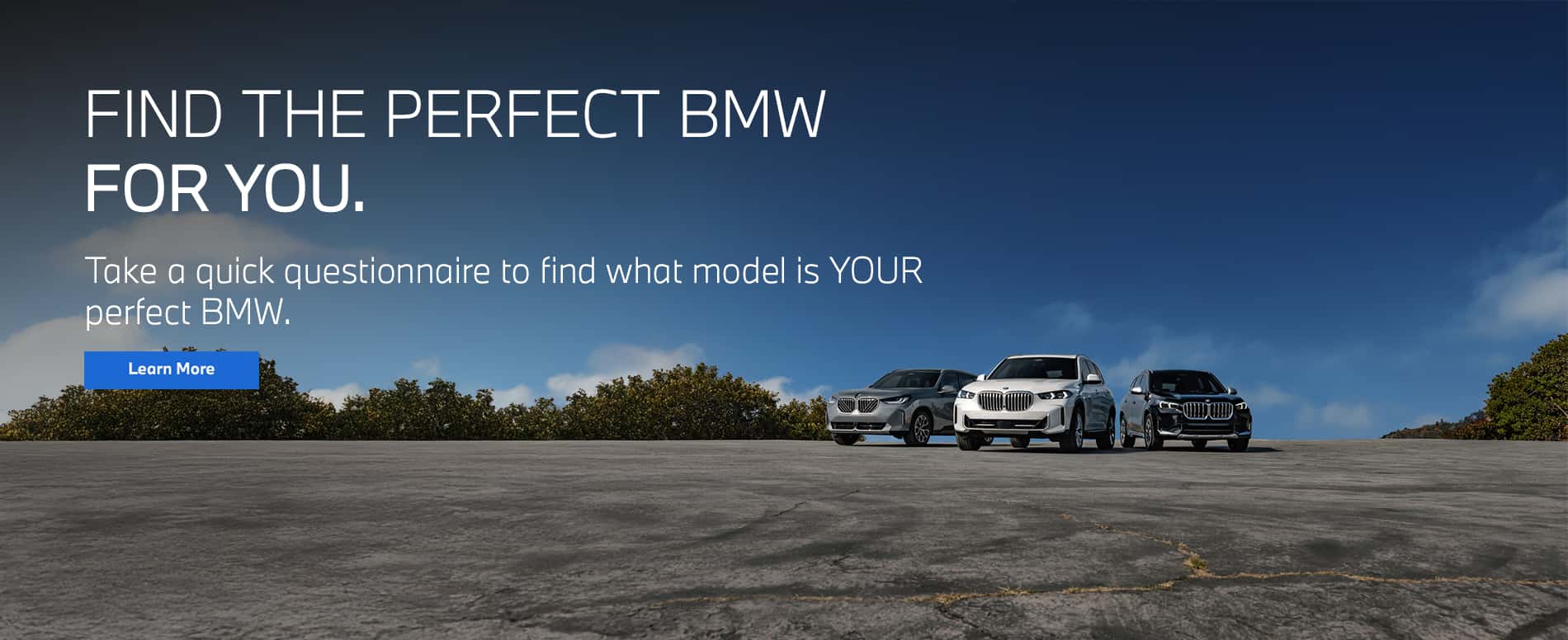 Perfect BMW