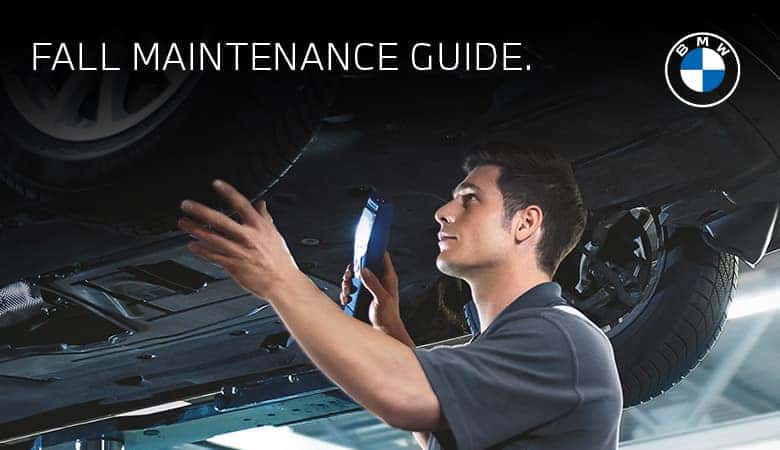 Fall Maintenance Guide | BMW of Pharr in McAllen, Texas