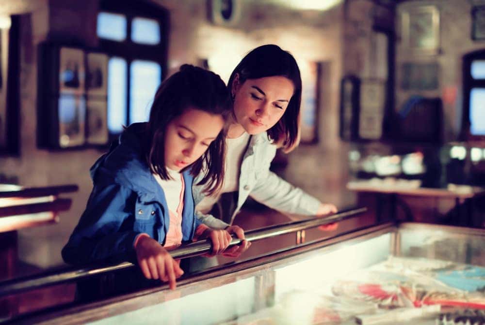 Browsing Museum