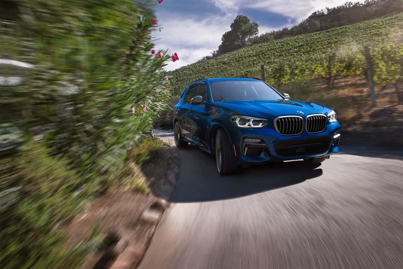 BMW SUVs 