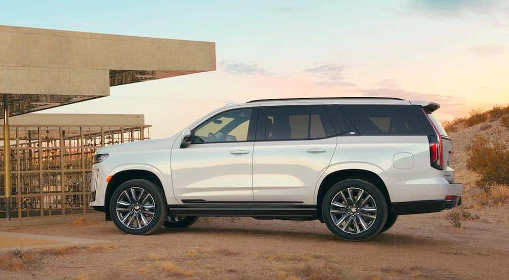 A white 2021 Cadillac Escalade is shown parked off-road.