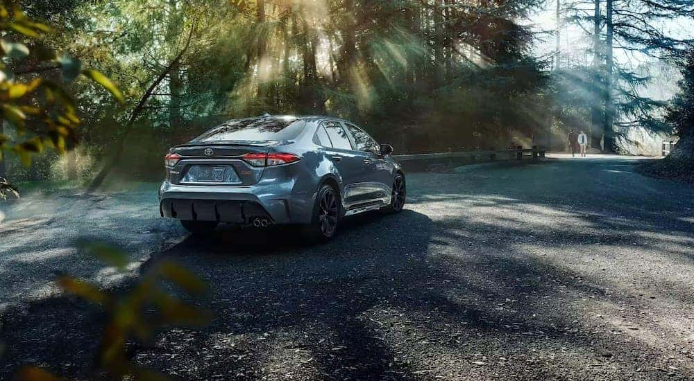 Grey 2023 Toyota Corolla parked surrounded by foliage