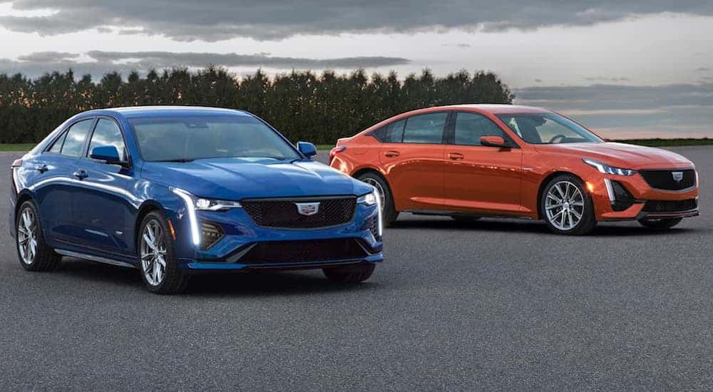 Two Cadillac sedans, a CT4 and CT5, parked side by side outside a car dealership