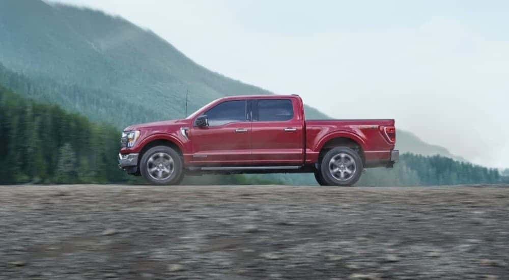 A red 2023 Ford F-150 parked off-road.