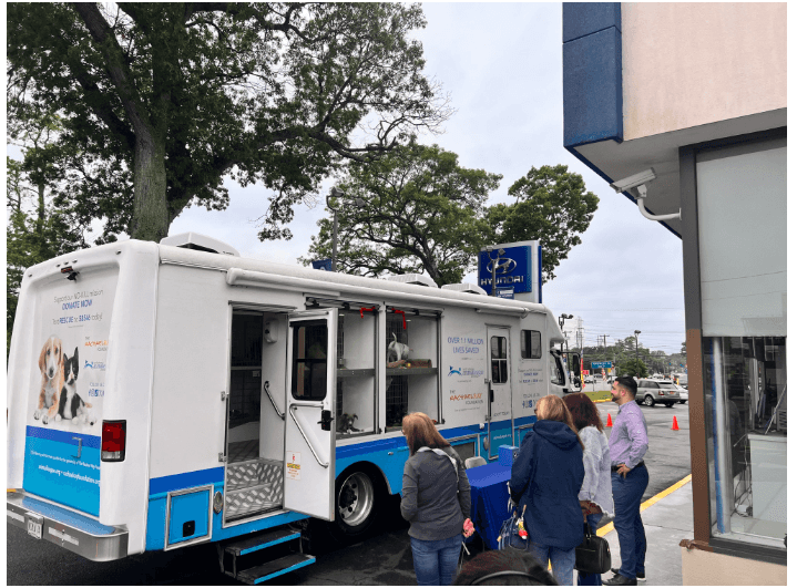 Centereach Hyundai Customers Meet Adoptable Pets