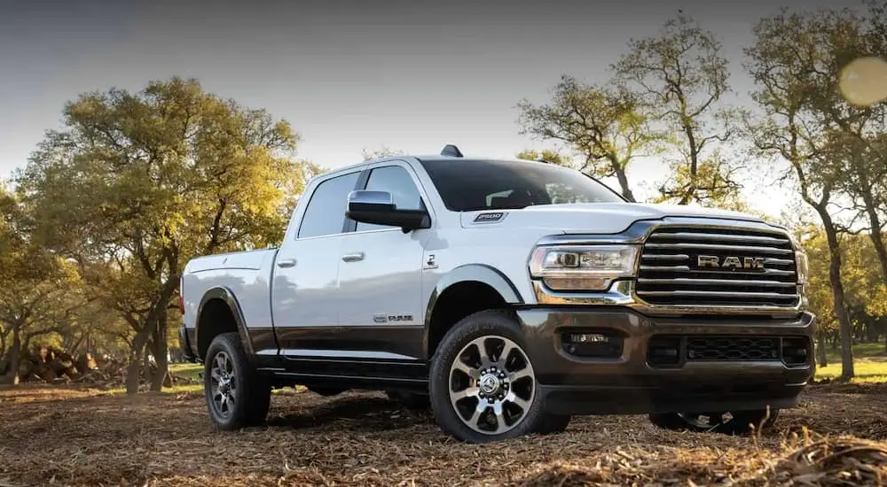 The Dynamic Ram Truck Lineup: Something for Everyone | Auto Dealer