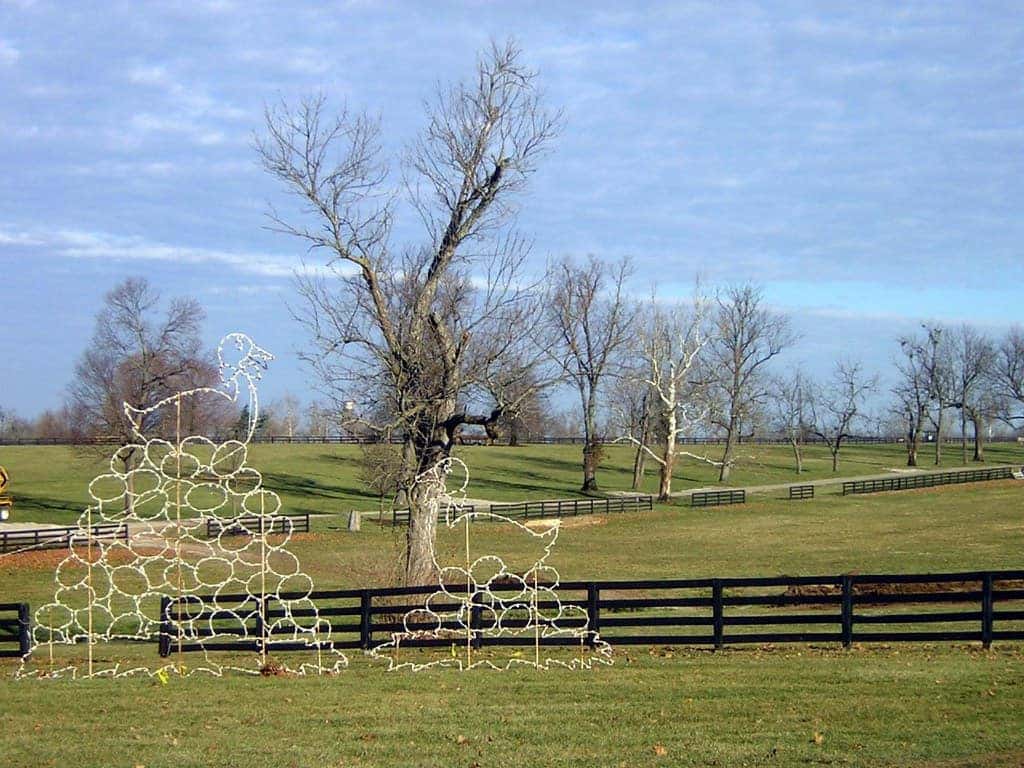 Top 5 Picnic Spots in KY New & Used Auto Dealer