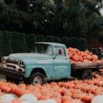 green single cab pickup truck carrying squash photo
