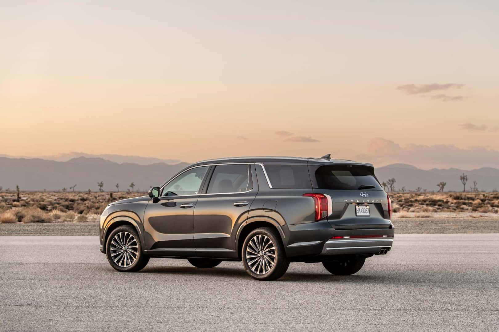 2025 Hyundai Palisade driver and rear view
