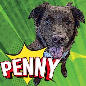 Penny Diaz