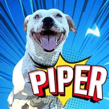 Piper Bessette