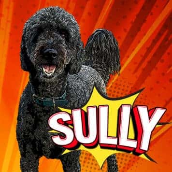 Sully Margalit