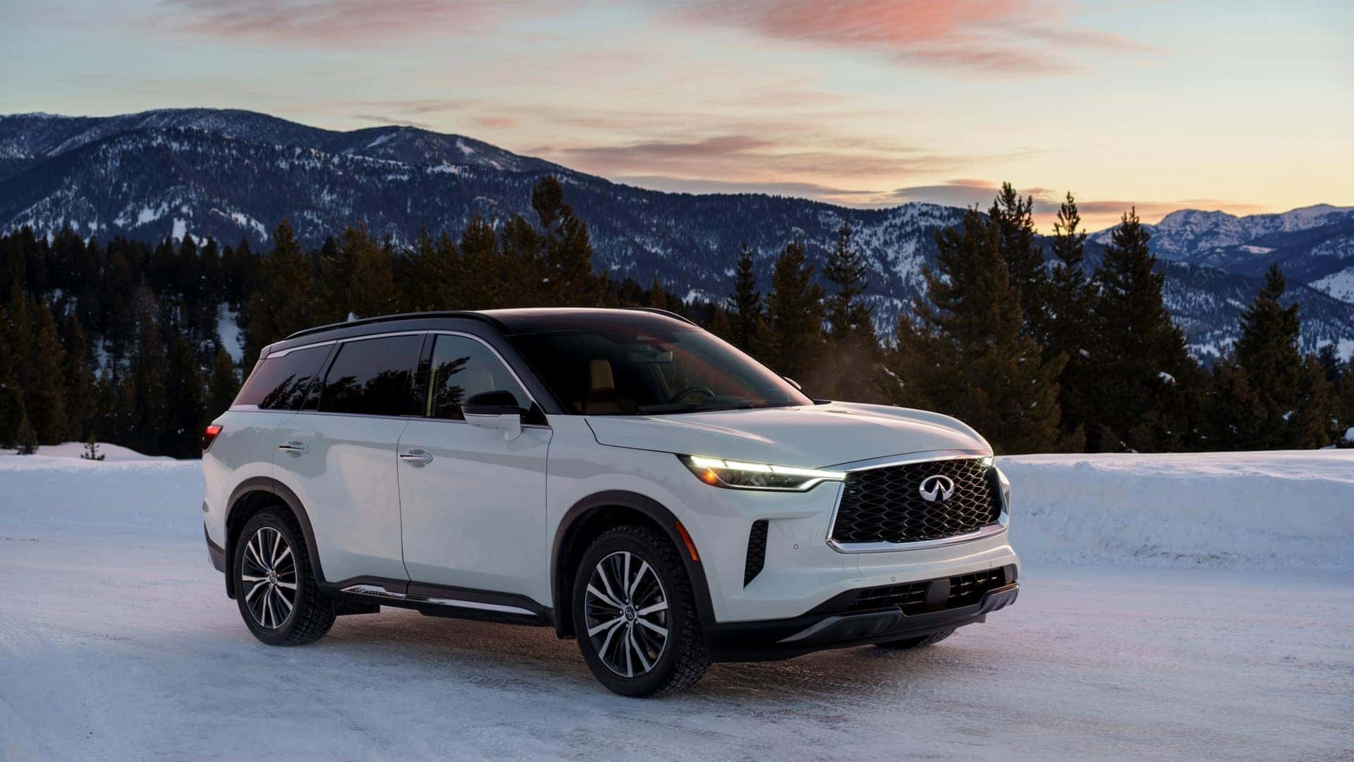 2025 INFINITI QX60 Majestic White/Black Obsidian Two-Tone winter