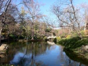 Fort Worth Botanical Gardens