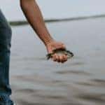 Local fishing spots in Fort Worth, TX