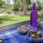 Picnic in Fort Worth, TX
