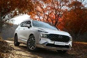 Hyundai Driving through Forrest