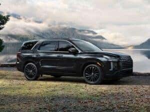 Hyundai Palisade in a field