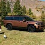 Hyundai Sante Fe in field