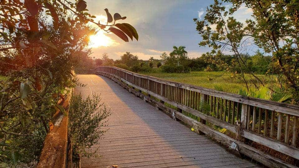 Plantation Preserve boardwalk and wetlands near King Hyundai