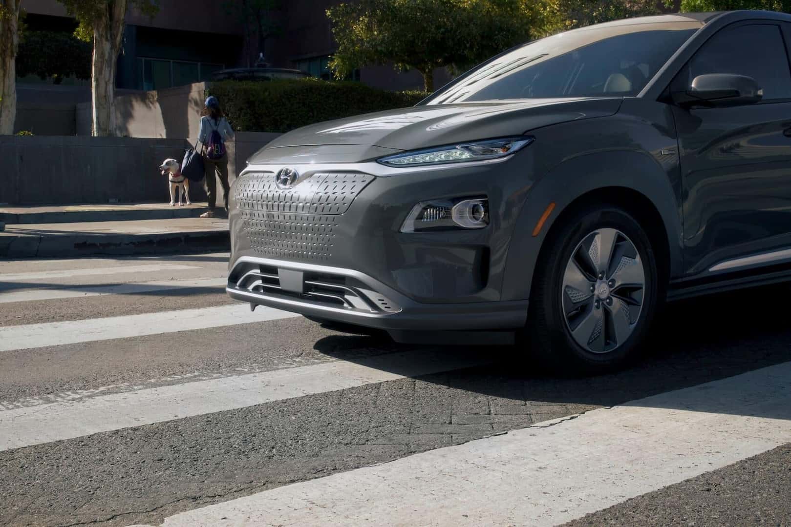 Hyundai Kona EV Detail