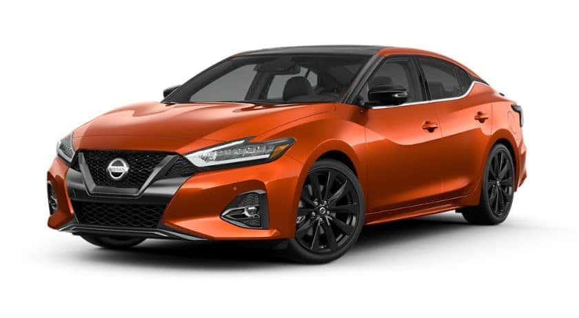 Interesting Burnt Orange Nissan Maxima Photos