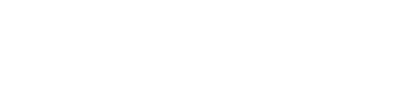 The ONYX Automotive logo is shown.