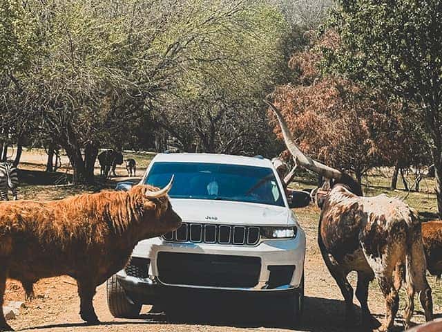 KristenBJeep