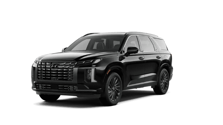 2025 Hyundai Palisade Calligraphy Night