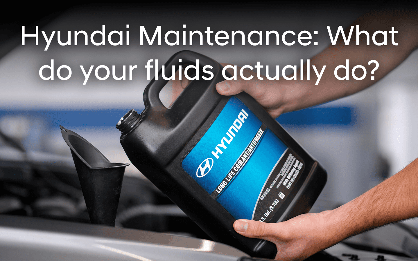 Hyundai fluids and what they do explained by Patrick Hyundai service experts