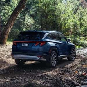 a blue suv parked next to water in the woods