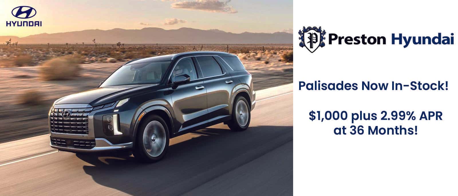 Hyundai Banner Palisade June