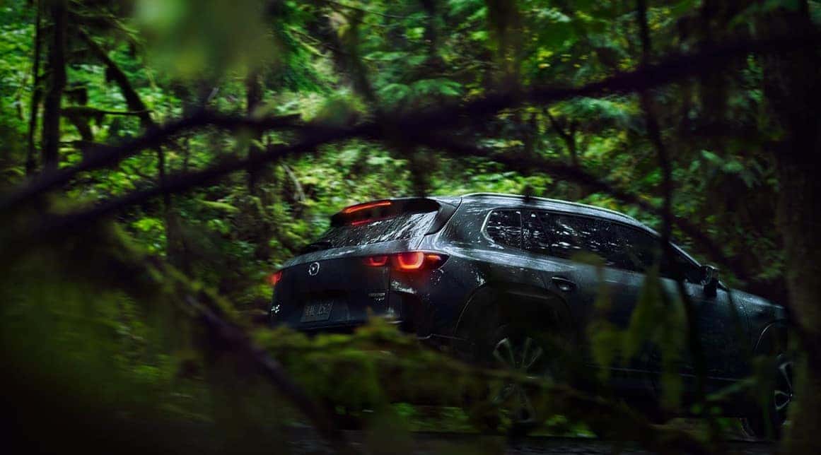 New 2023 Mazda CX-50 for sale in Downers Grove, IL