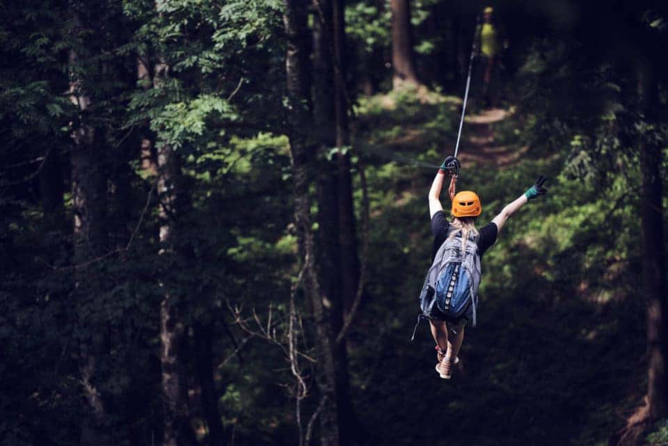 Go Ape Treetop Adventure Safford Hyundai Of Springfield