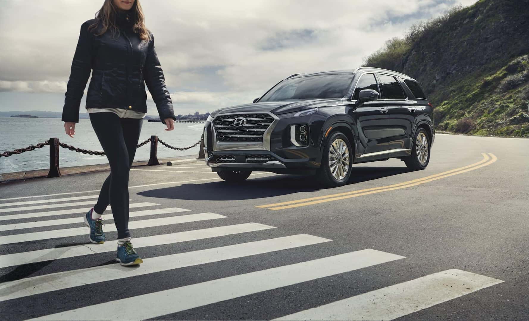 2020 Hyundai Palisade Looks
