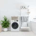 bright, minimal laundry room with green houseplant