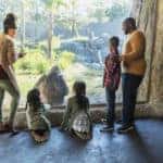 family visiting the zoo