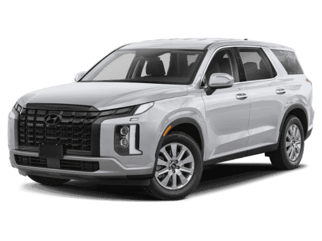 palisade se