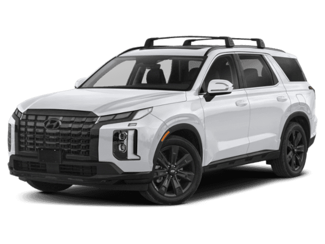 palisade xrt