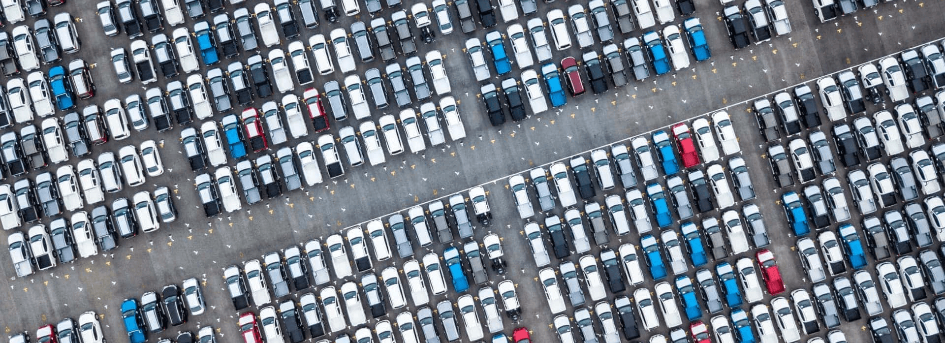 Car-Lot--1-