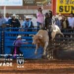 Man Riding a Bull in St. George, UT