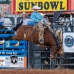 Spring Roundup Recap.