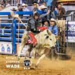 Man Riding a Bull at a Stadium in St. George, UT