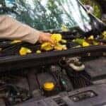 seasonal vehicle checklist