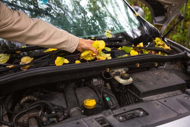 seasonal vehicle checklist