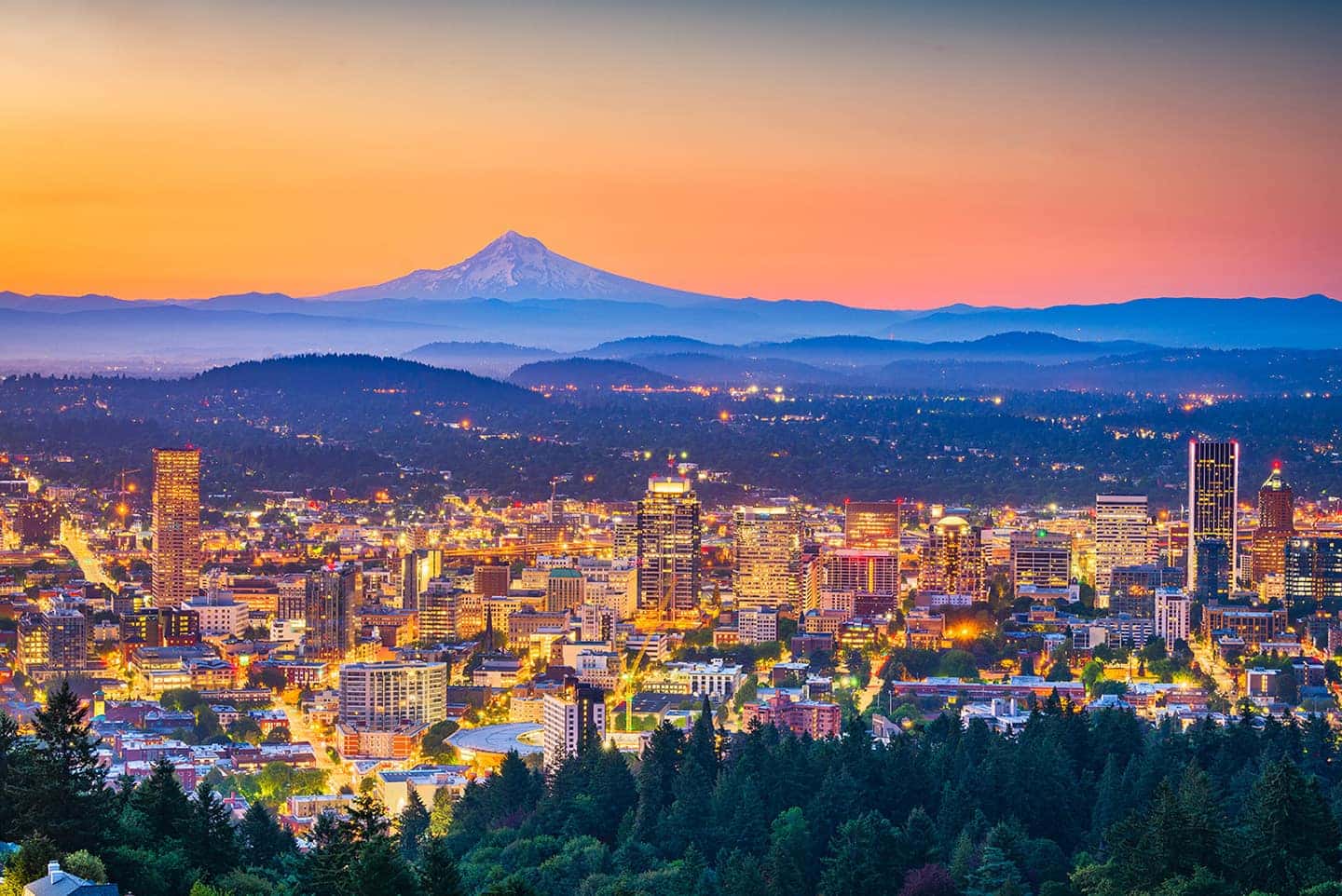 to Swickard Auto Group