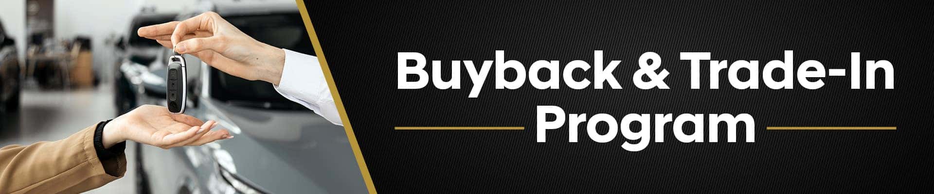 Vehicle Buyback Program